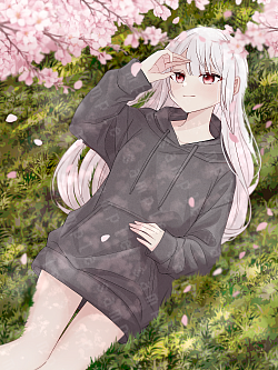 一枚絵
